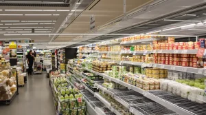 Œufs en Allemagne : des rayons presque vides et des prix records qui s’envolent